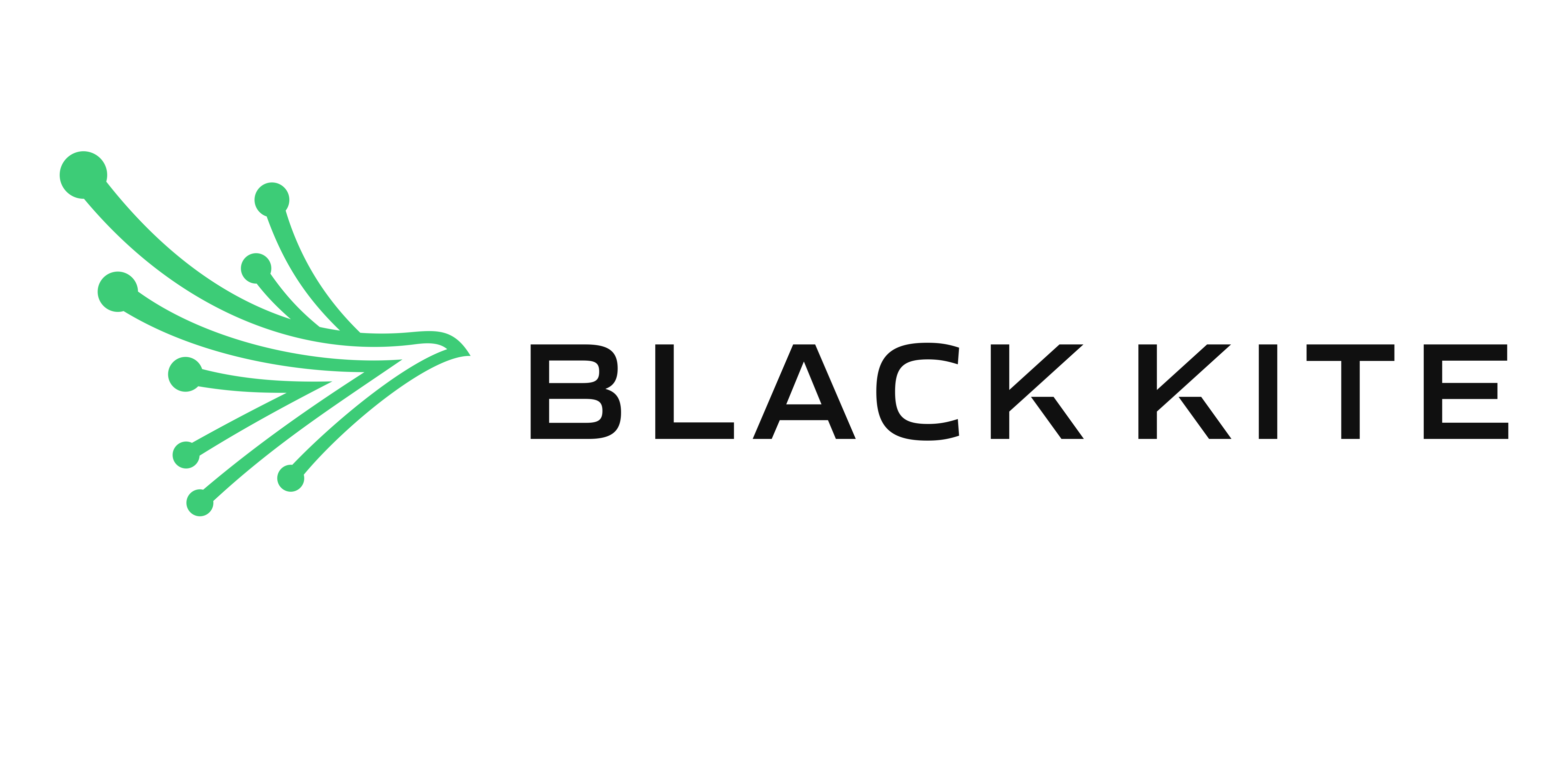 BlackKite_Horizontal_ Logo.png